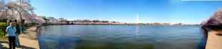 CherryBlossomPano
